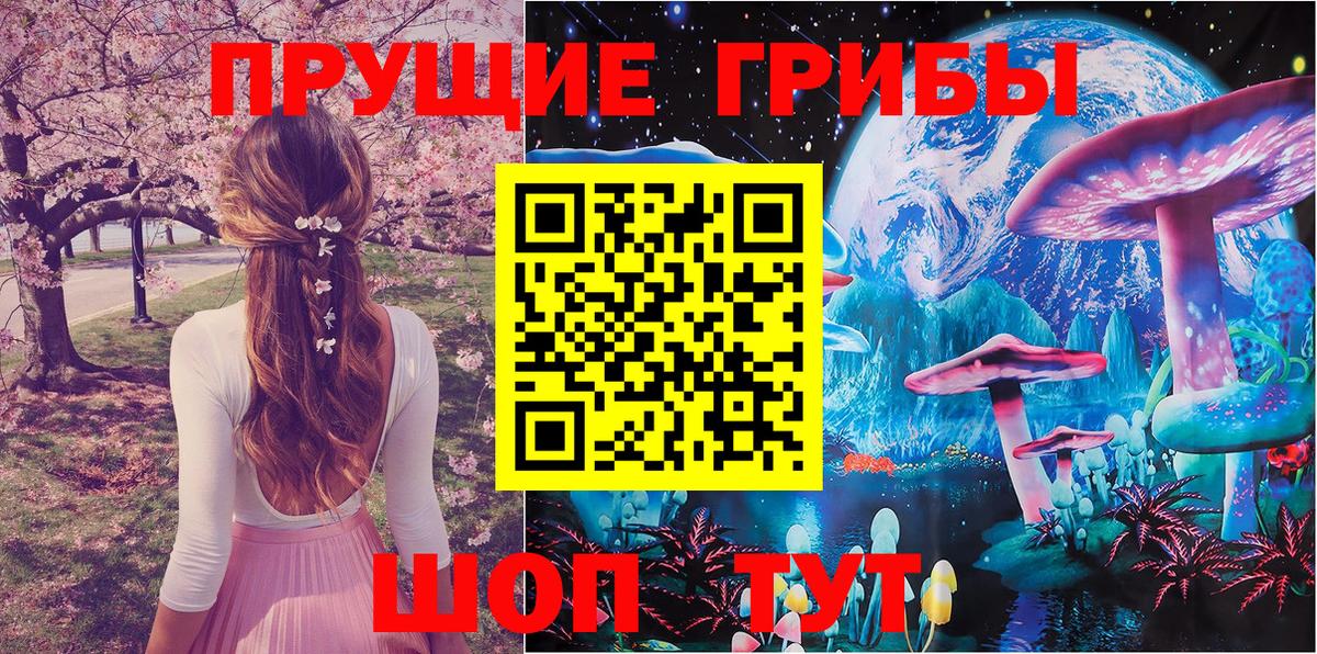 Псилоцибиновые грибы Psilocybe Щёлково